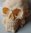Totenkopf mit rosen  (Blanko Hautfarben)15,5 cm x 10 cm x 9 cm